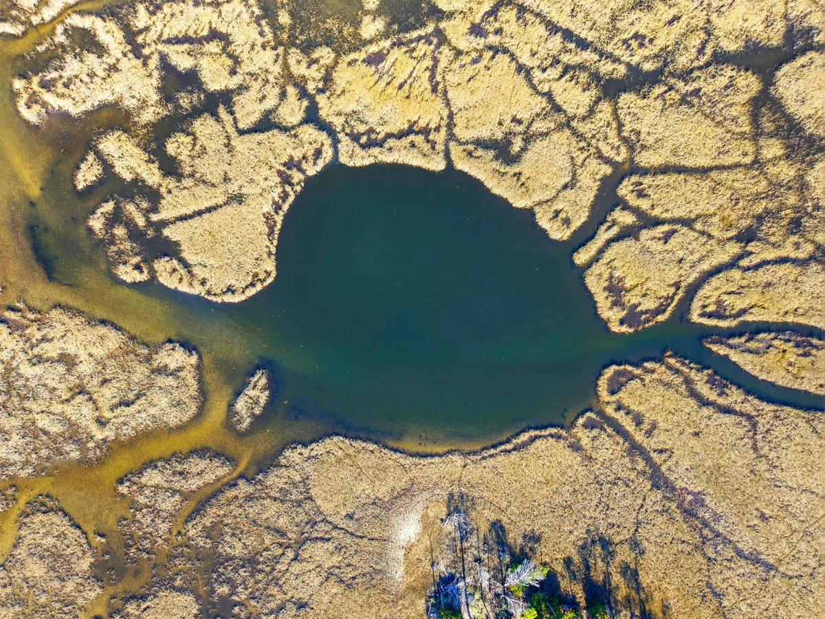 Aerial view of Goose Bayou