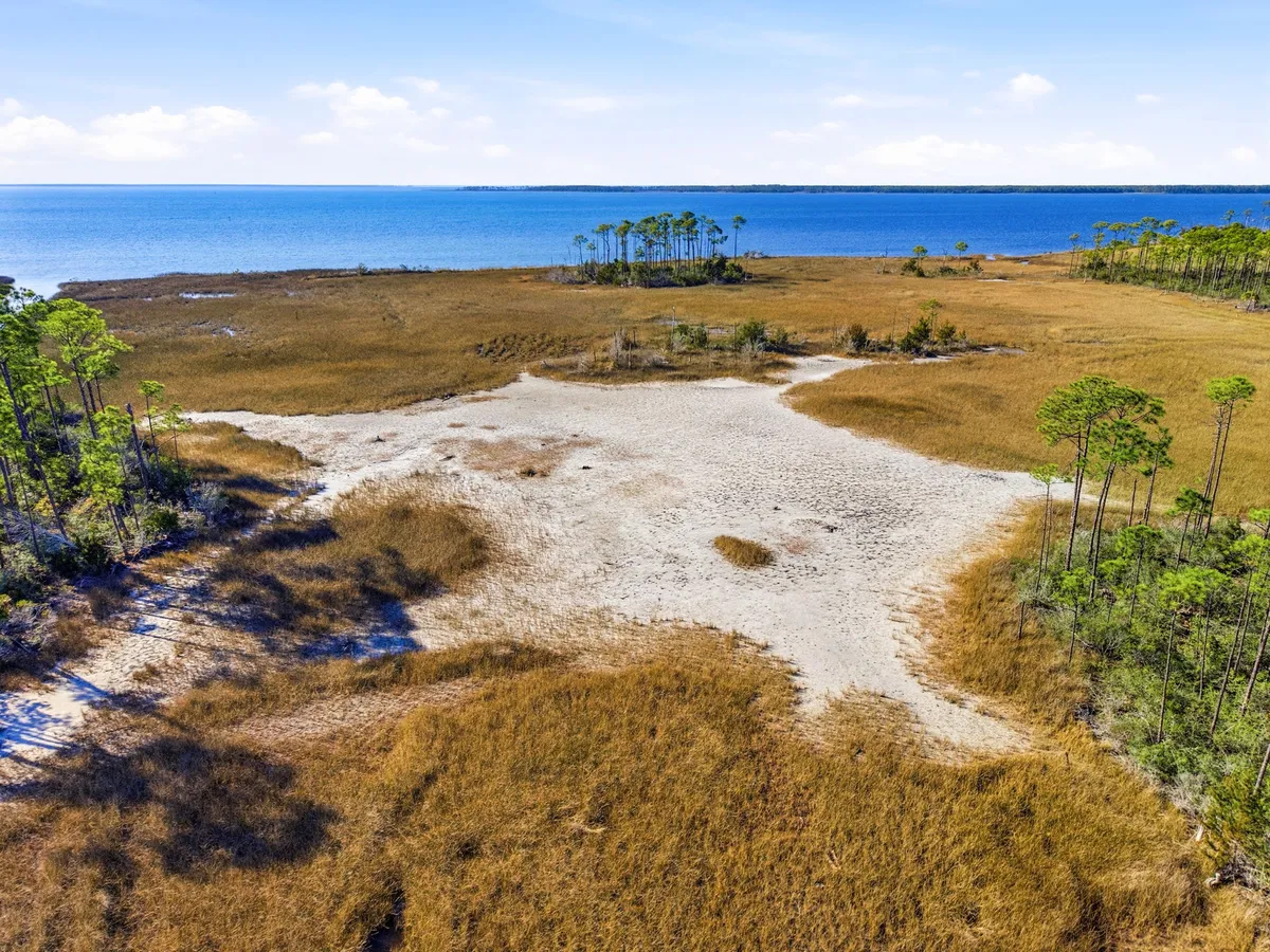 Aerial view of Goose Bayou