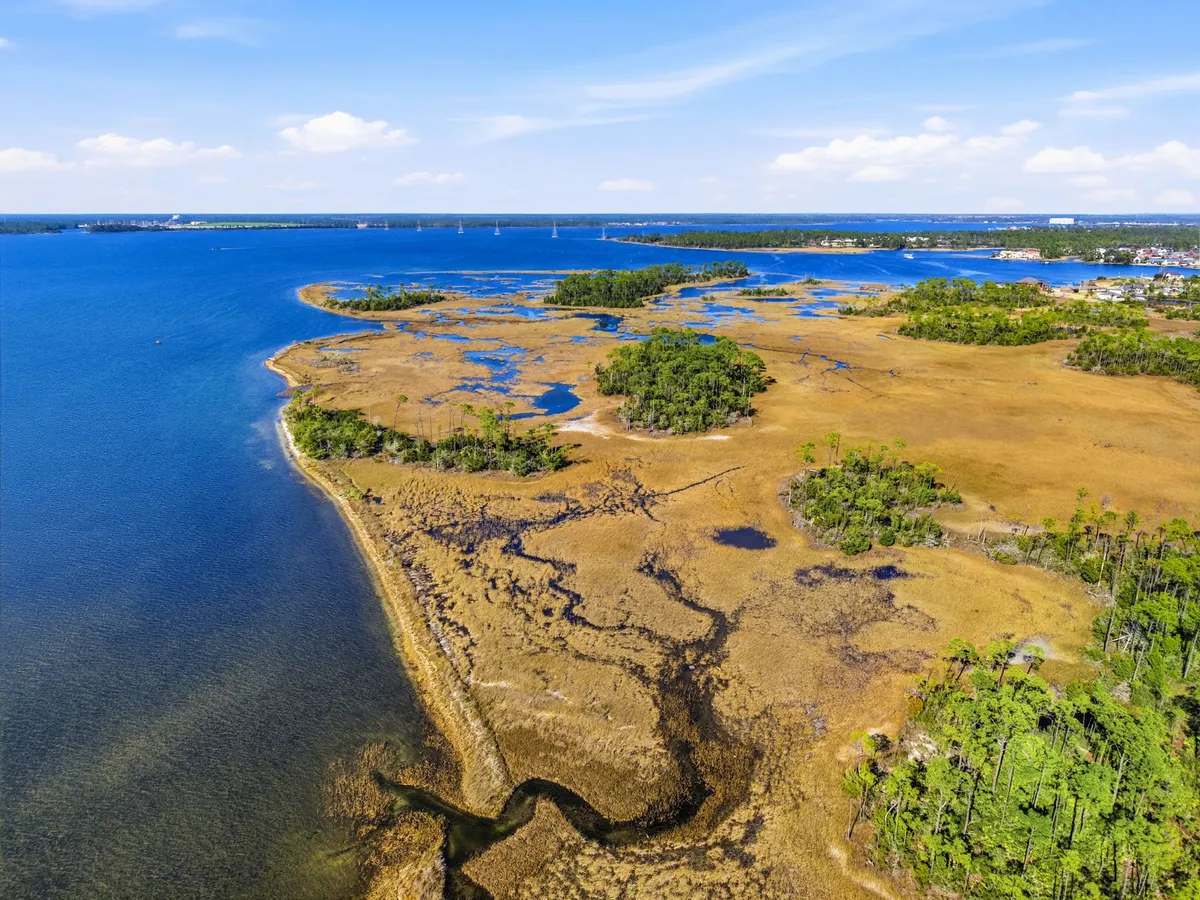 Aerial view of Goose Bayou