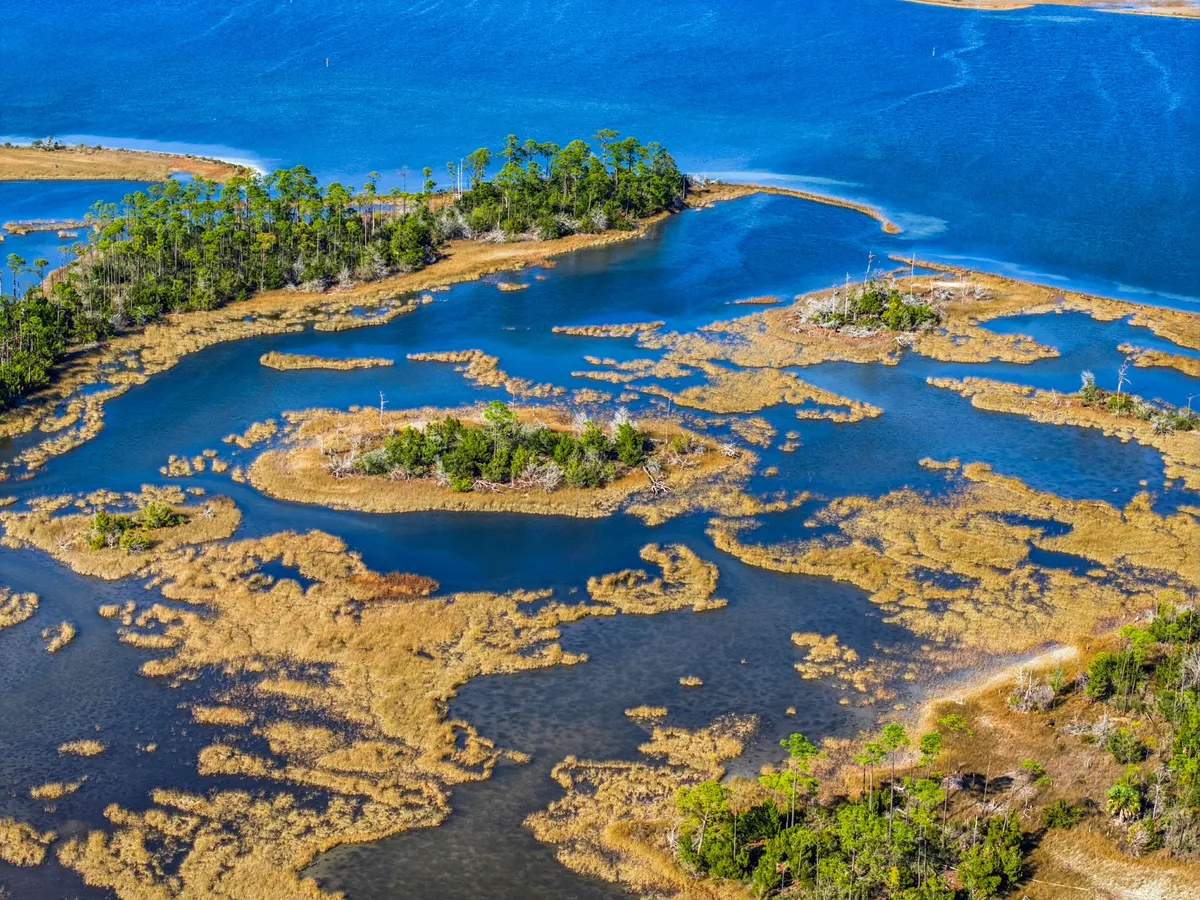 Aerial view of Goose Bayou