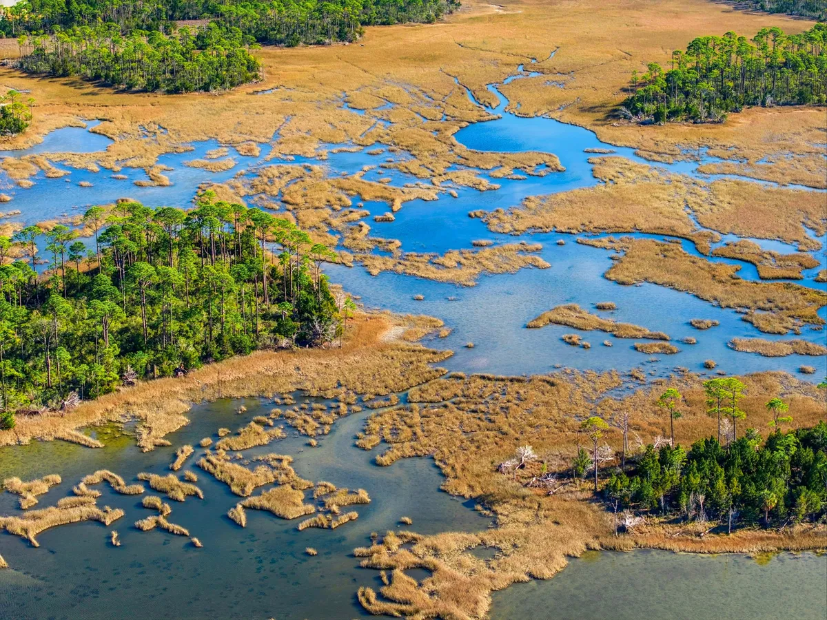 Aerial view of Goose Bayou