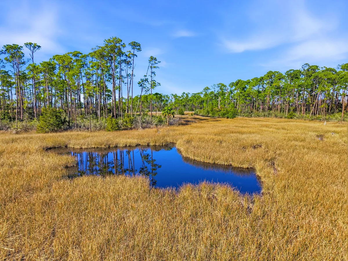 Aerial view of Goose Bayou