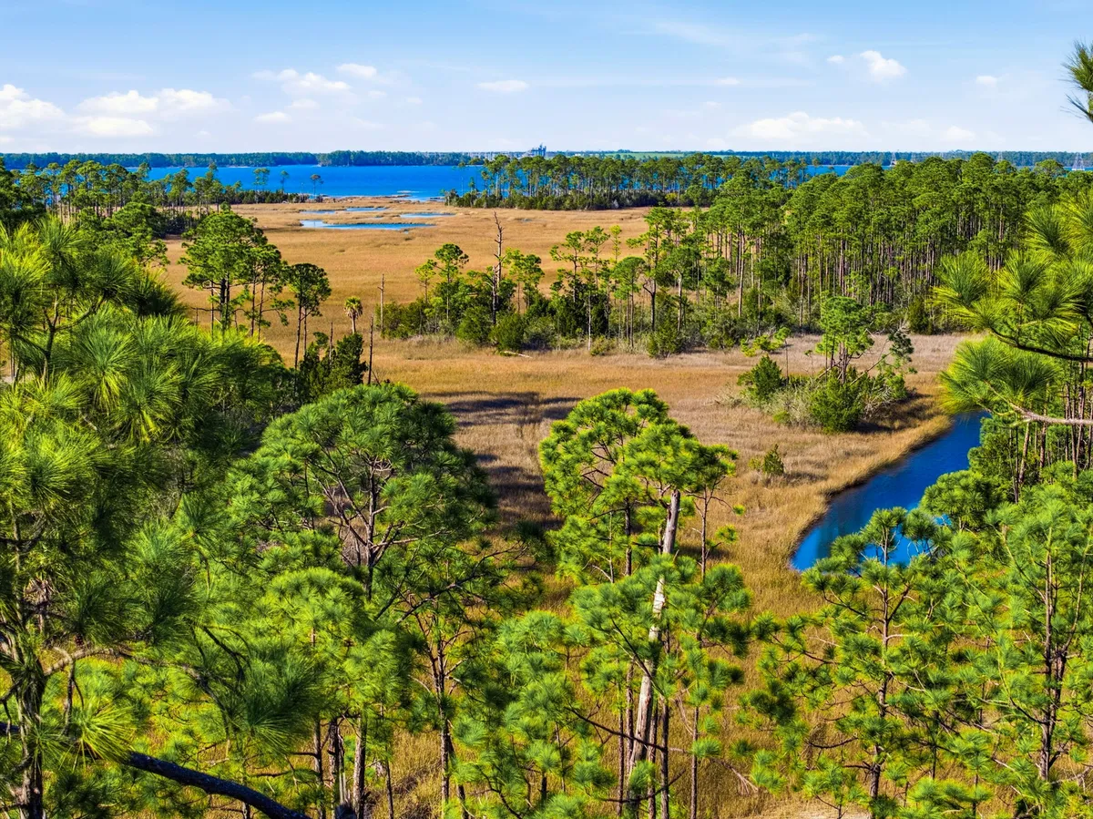 Aerial view of Goose Bayou