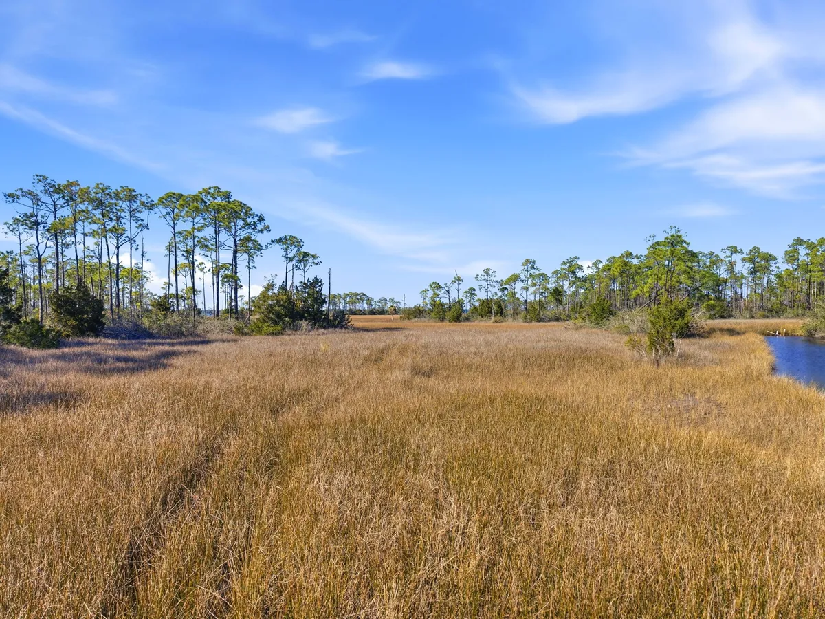 Aerial view of Goose Bayou