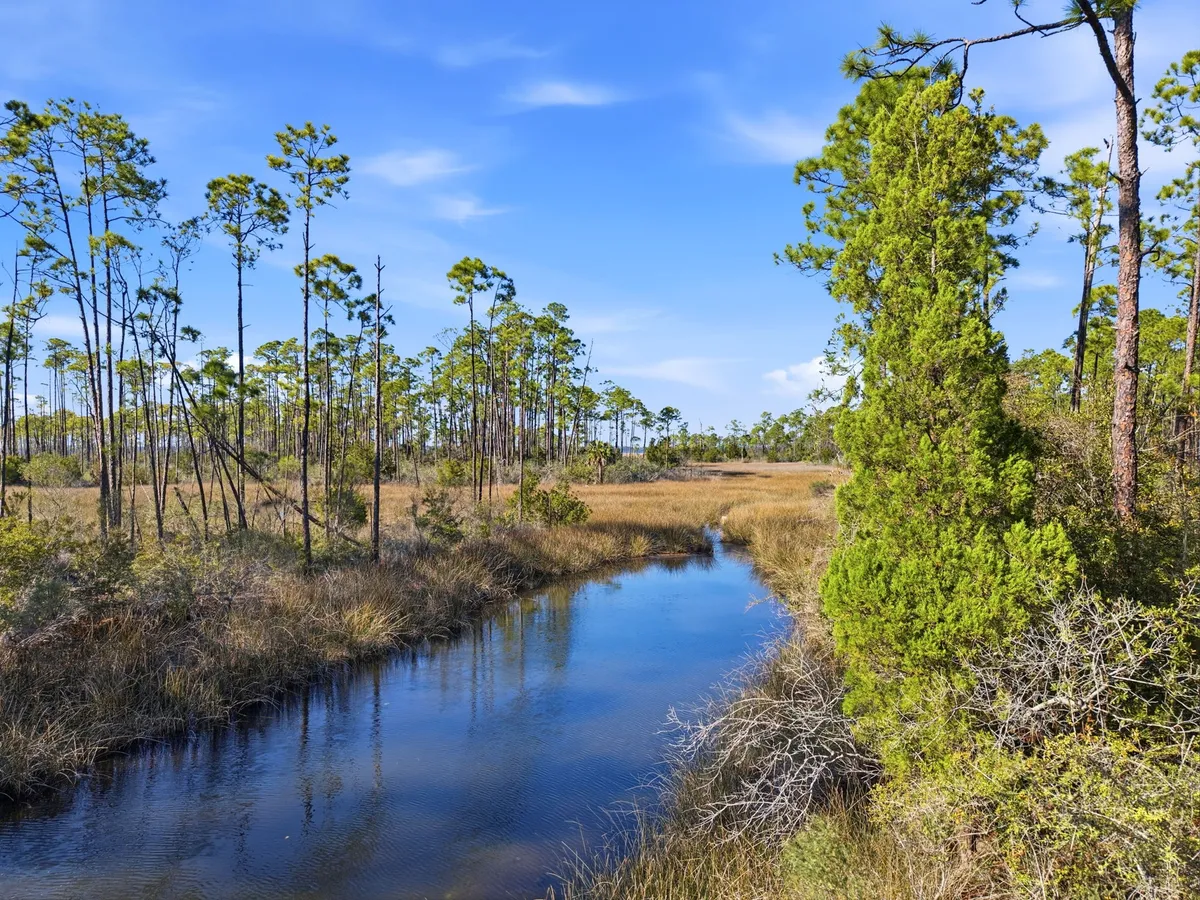 Aerial view of Goose Bayou