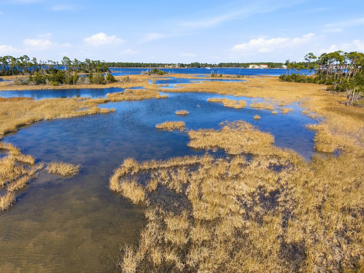 Aerial view of Goose Bayou