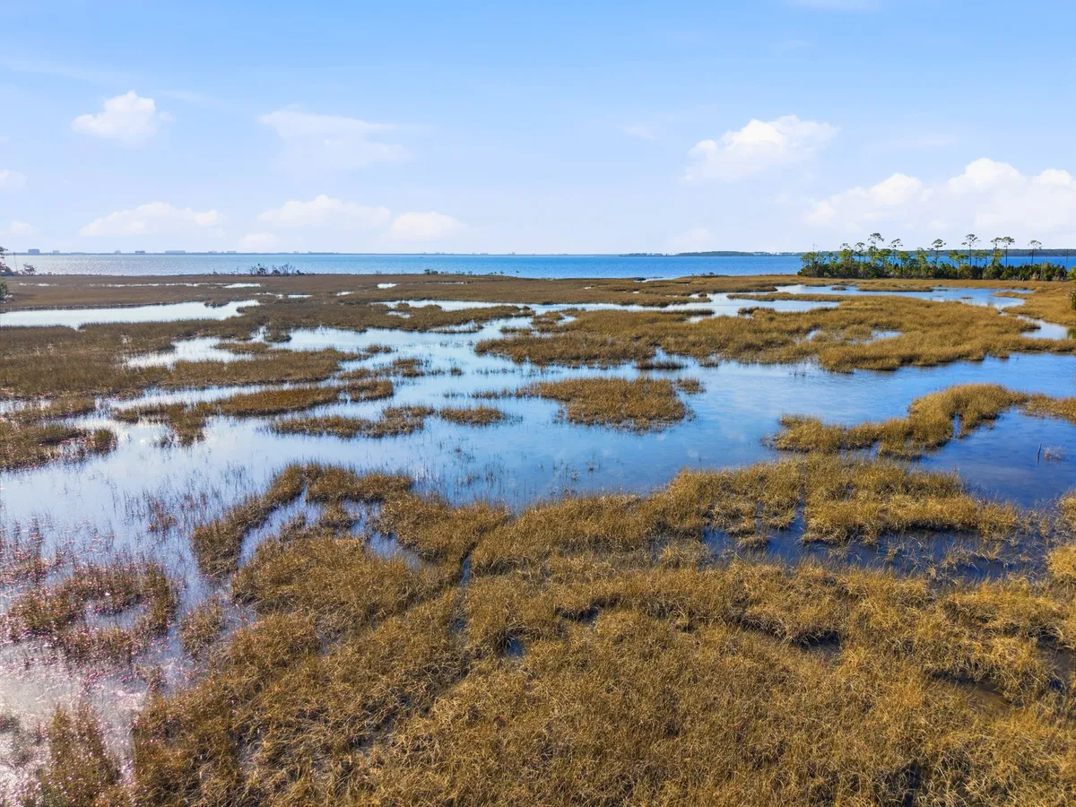 Aerial view of Goose Bayou