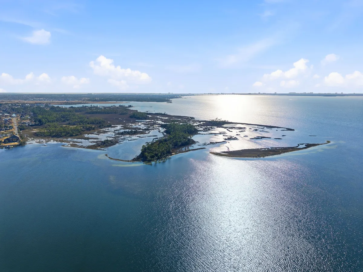 Aerial view of Goose Bayou