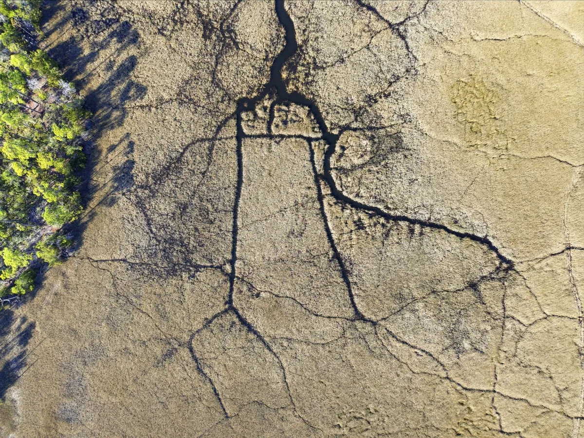 Aerial view of Goose Bayou