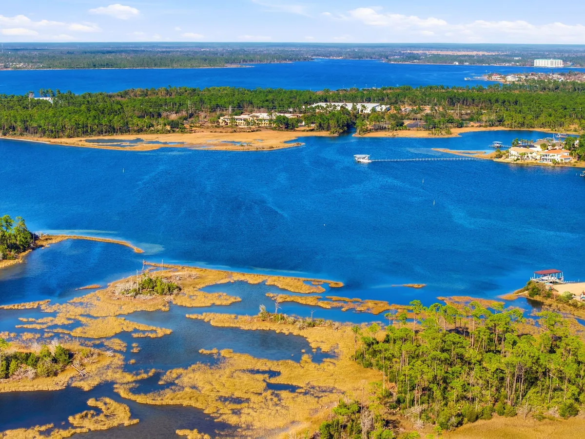 Aerial view of Goose Bayou