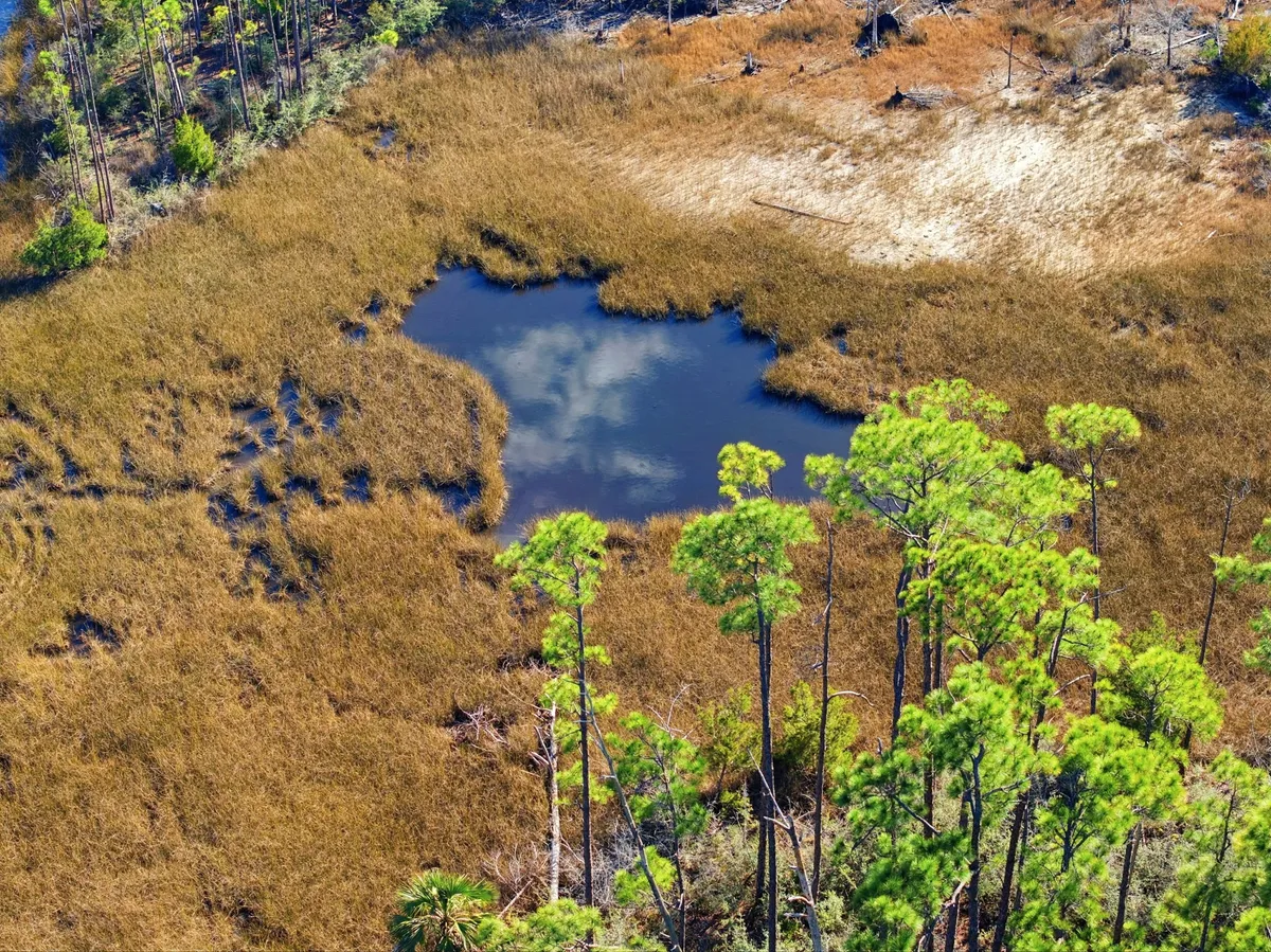 Aerial view of Goose Bayou