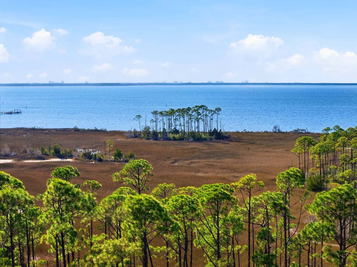 Aerial view of Goose Bayou