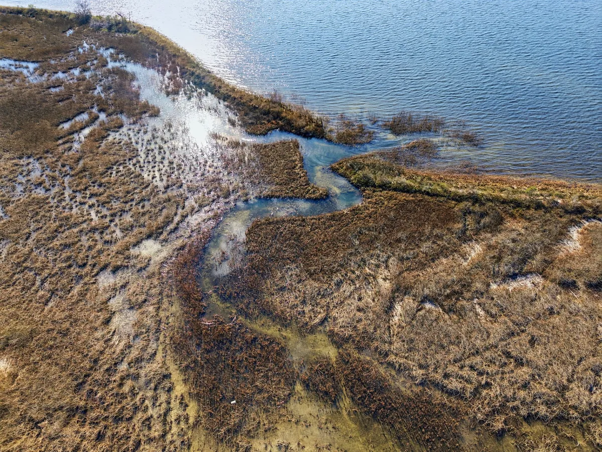 Aerial view of Goose Bayou
