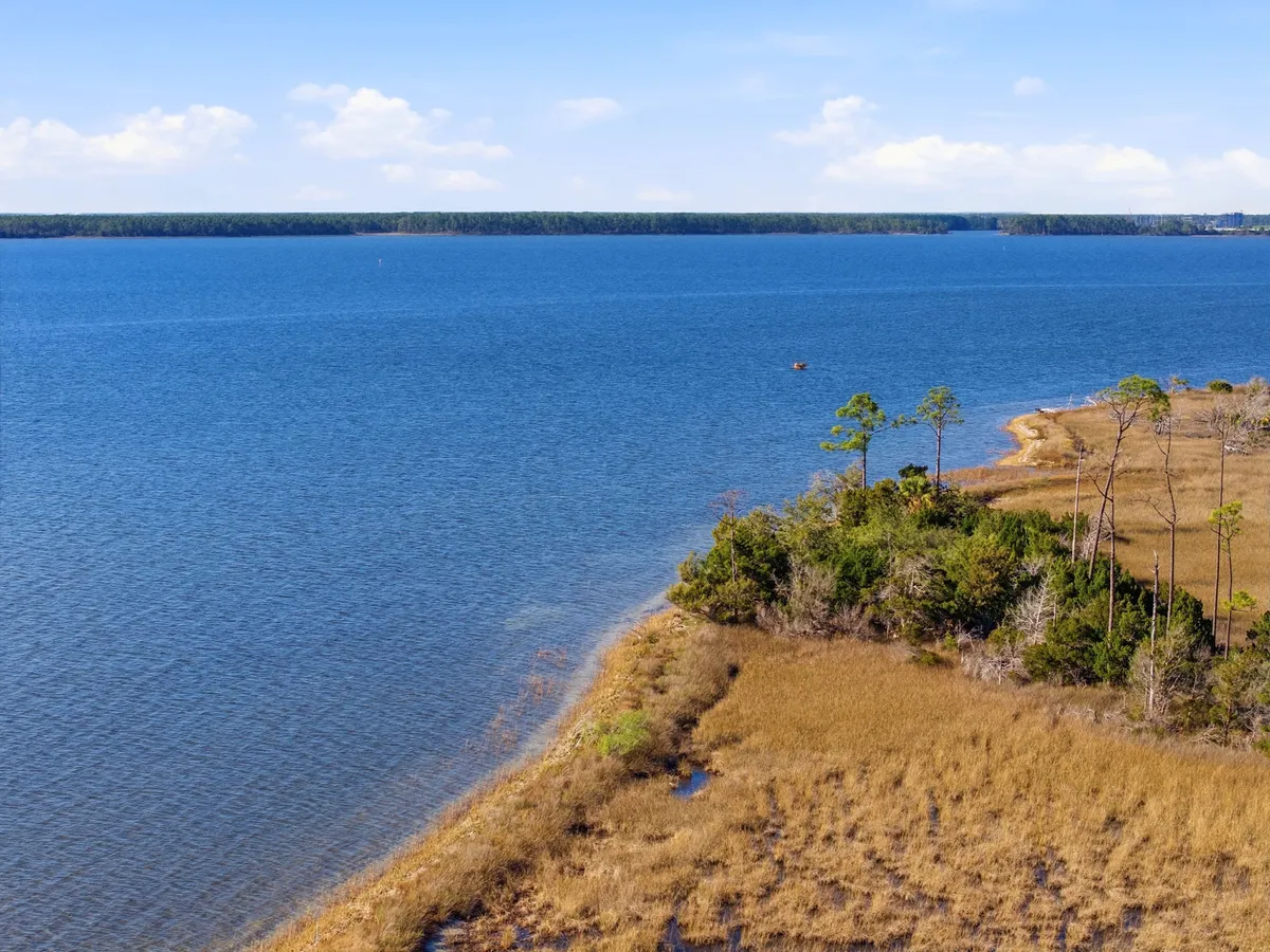 Aerial view of Goose Bayou