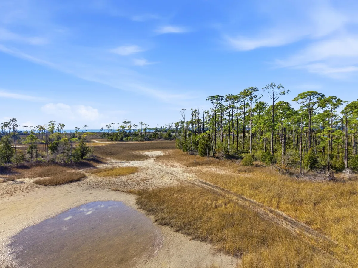 Aerial view of Goose Bayou