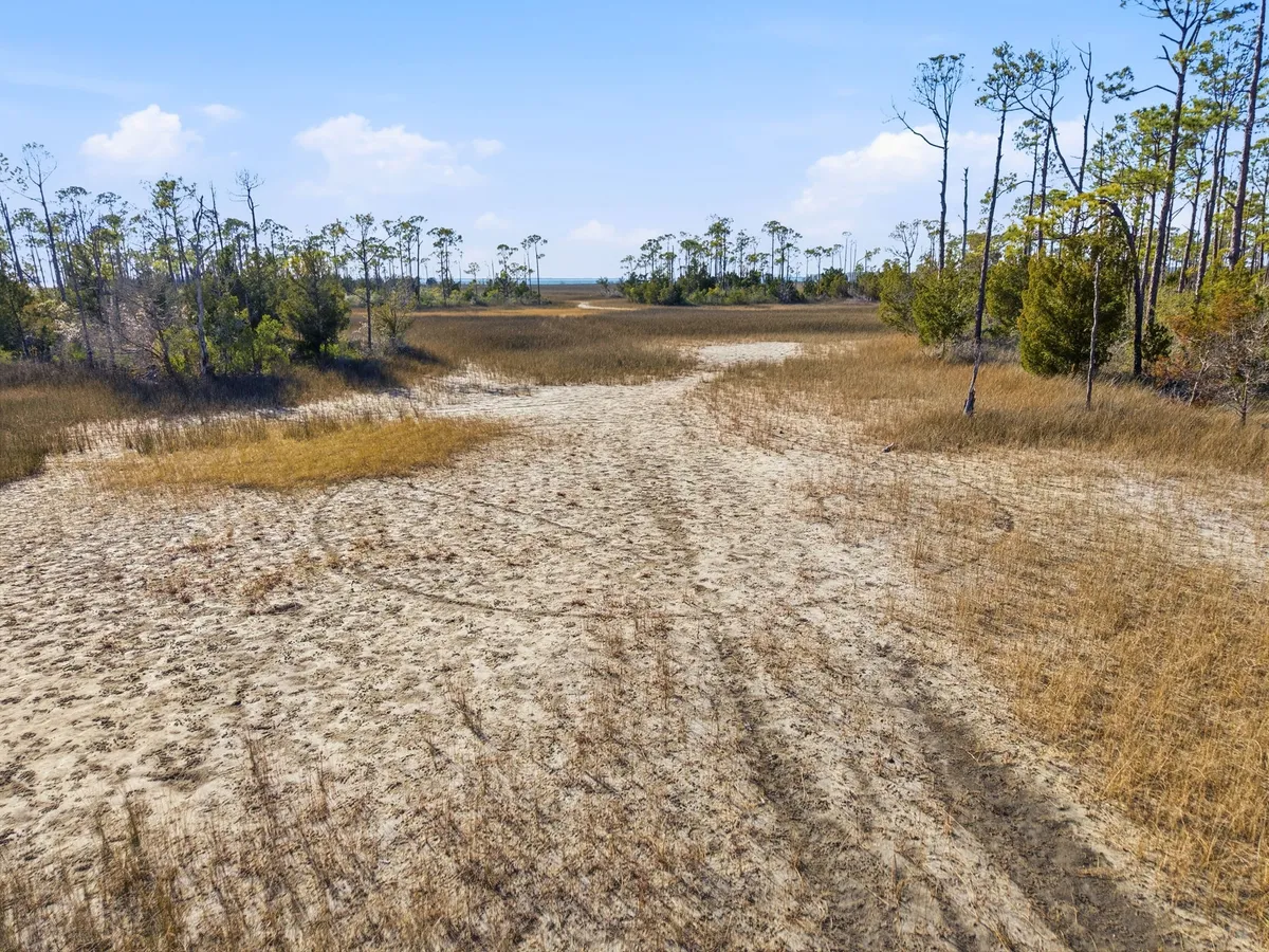 Aerial view of Goose Bayou