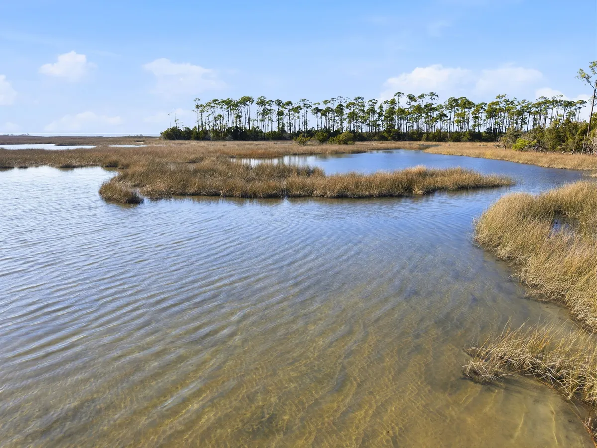 Aerial view of Goose Bayou