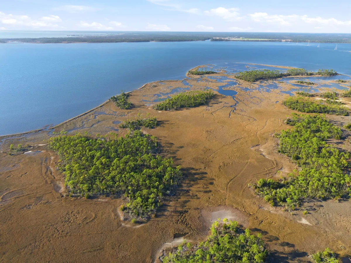 Aerial view of Goose Bayou