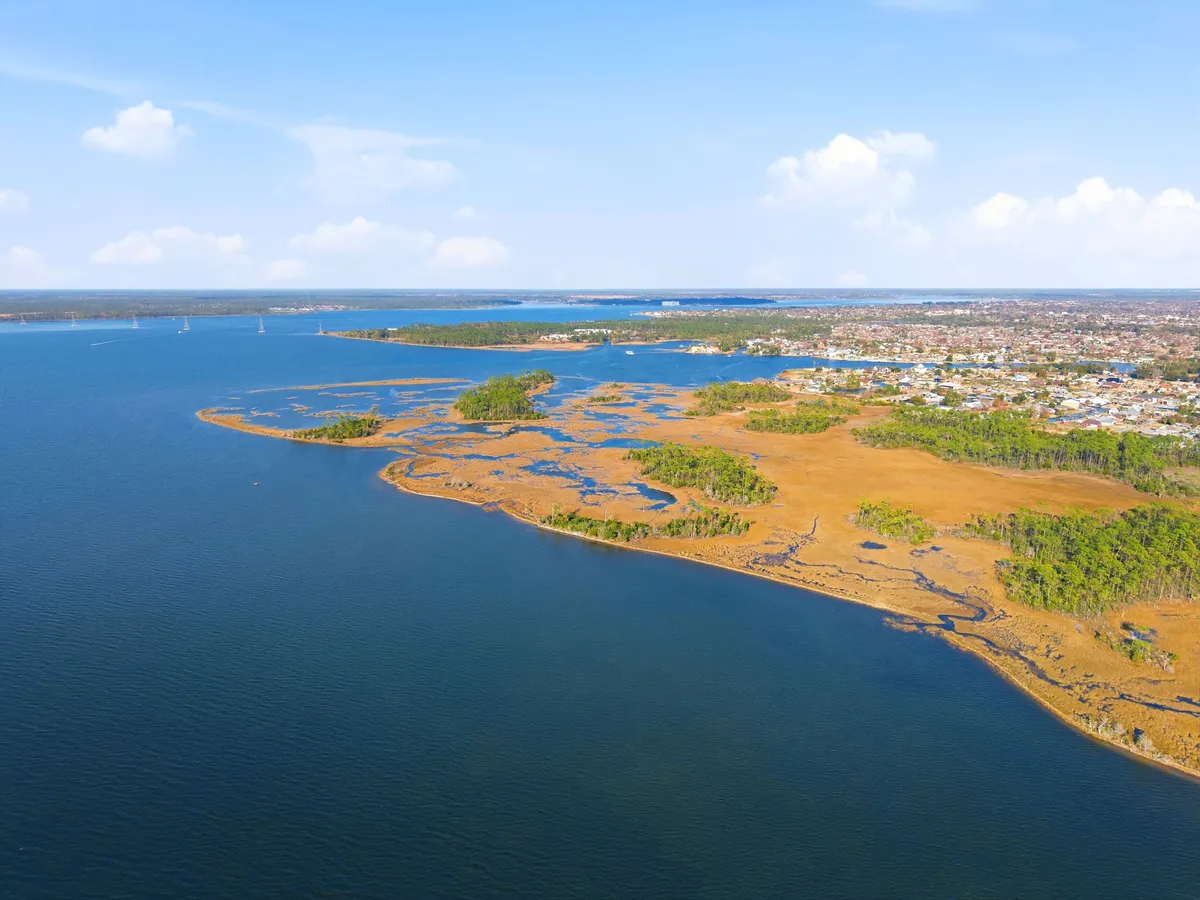 Aerial view of Goose Bayou