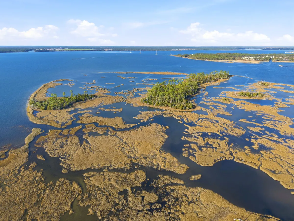 Aerial view of Goose Bayou