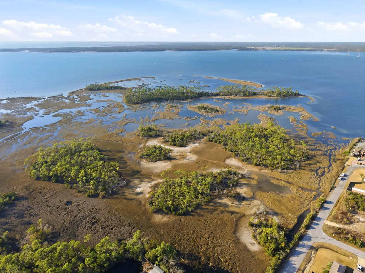 Aerial view of Goose Bayou