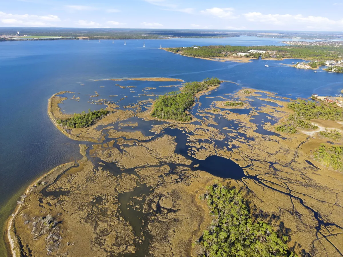 Aerial view of Goose Bayou